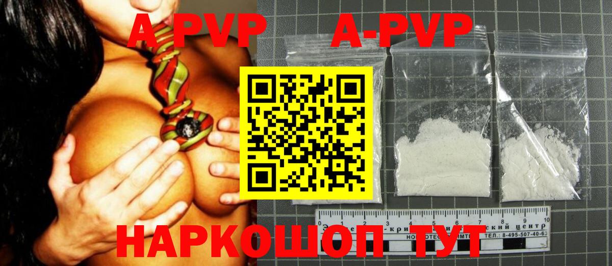 A-PVP СК Гатчина