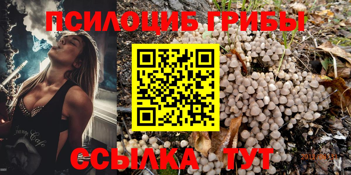 Галлюциногенные грибы Cubensis  Вход с VPN  Псилоцибиновые грибы ЛСД  Гатчина 