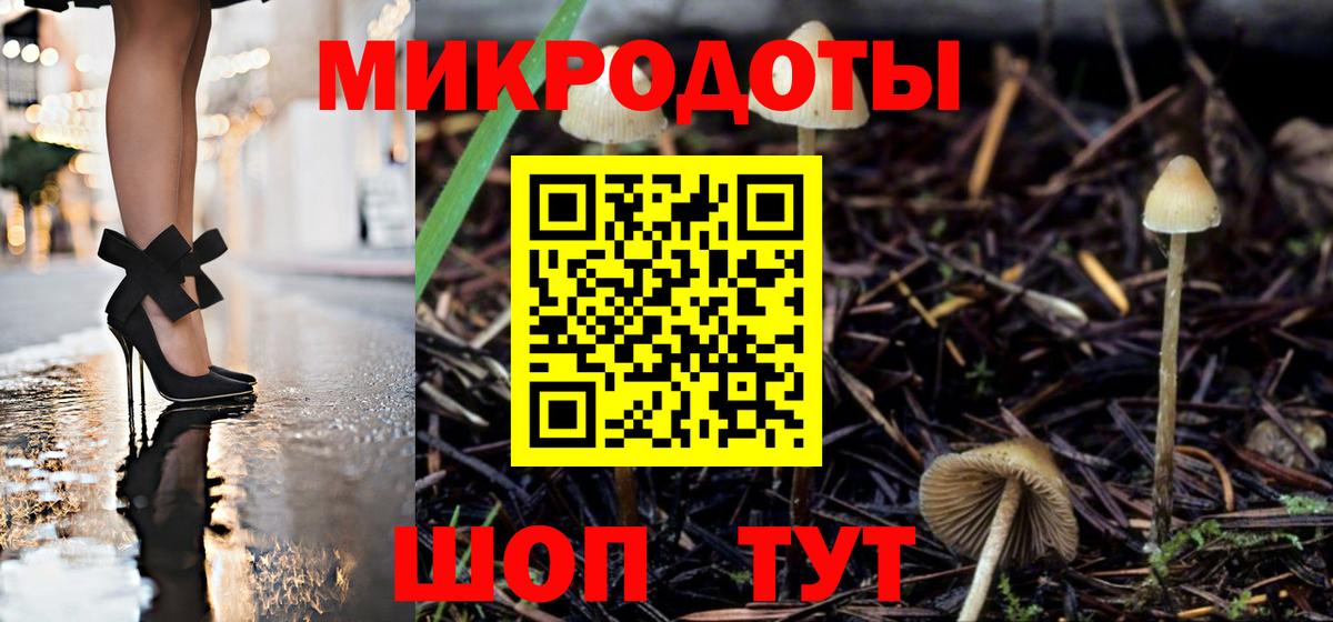 Псилоцибиновые грибы GOLDEN TEACHER Гатчина